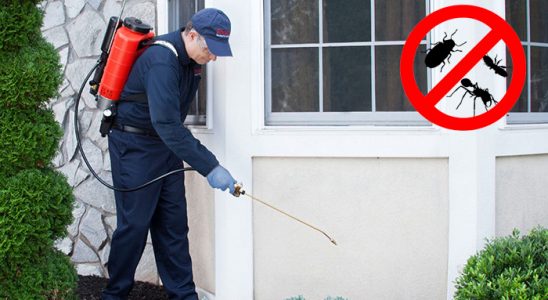 Soğukkuyu Akrep İlaçlama böcek ilaçlama ve haşere kontrolü — ilaclama-tr.com